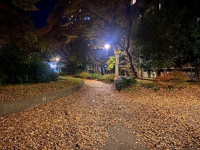 20201116203752.jpg
